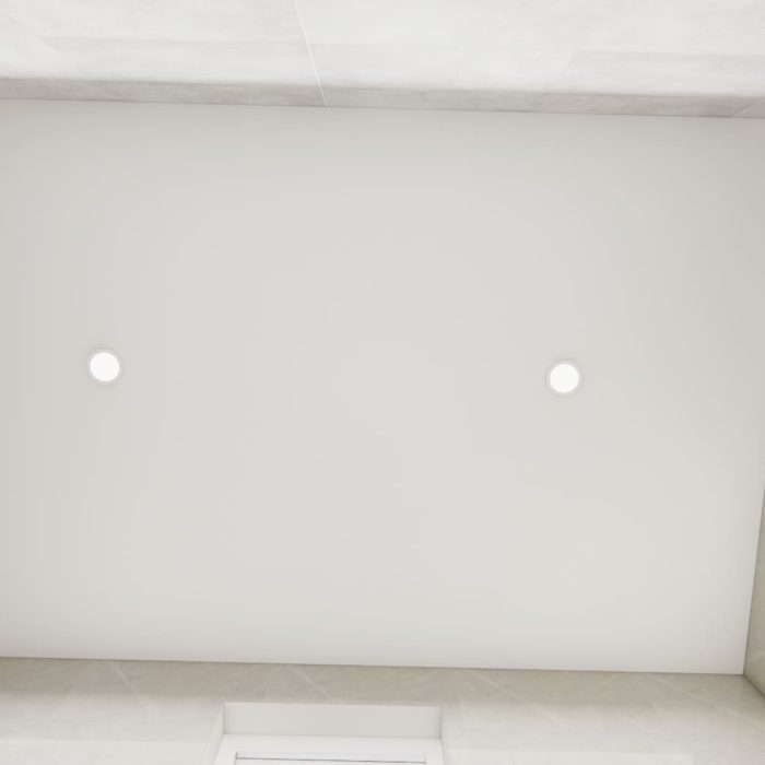 MBR-WASHROOM CEILING