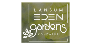 Untitled design (19)